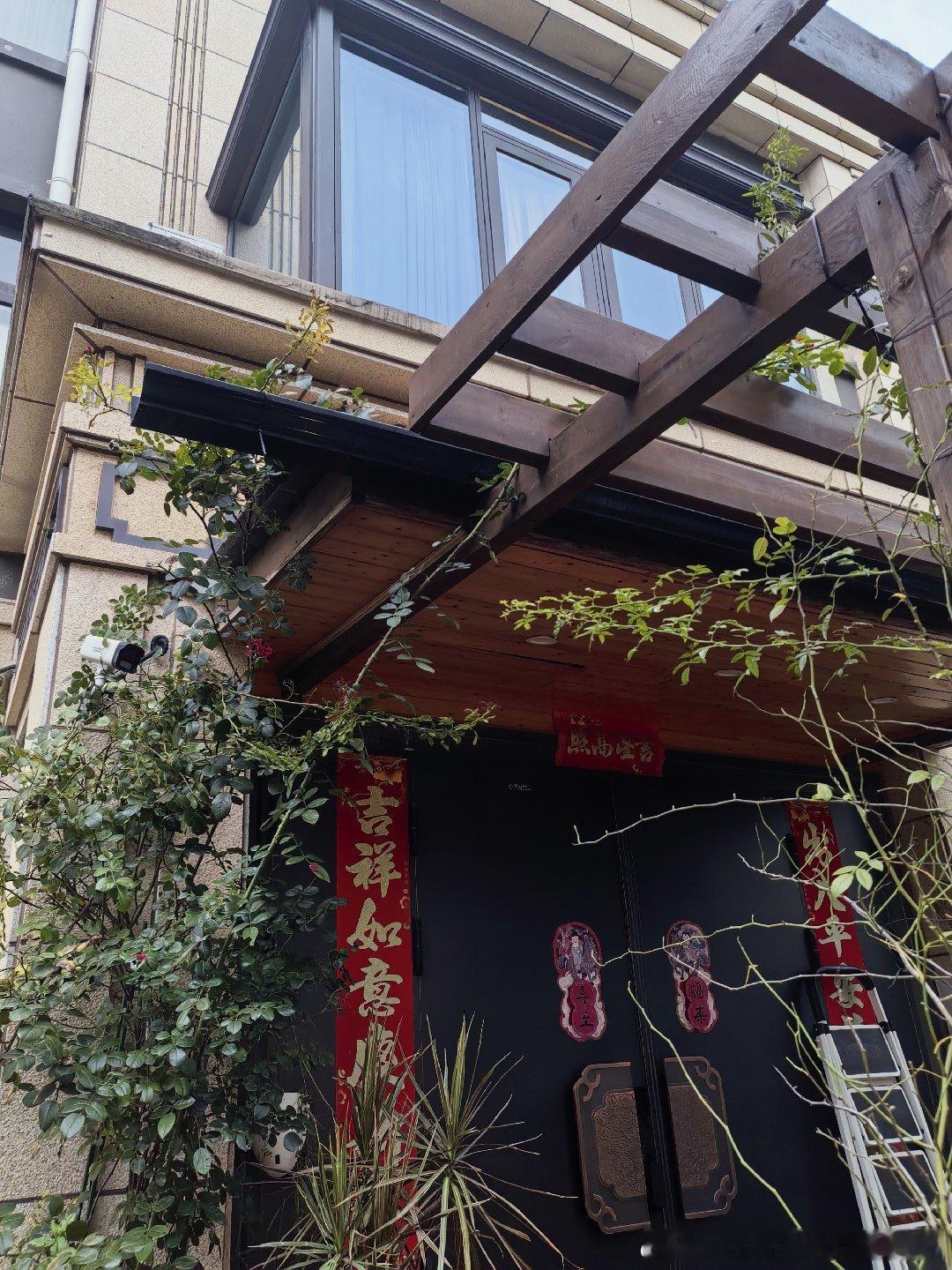 努力生长了两三年，月季终于爬到了花架上！ 
