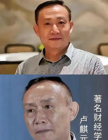 非常令人胆寒的一段话：
近来金融圈有些人谈及卢麒元，居然异口同声抛出四个字：“脑