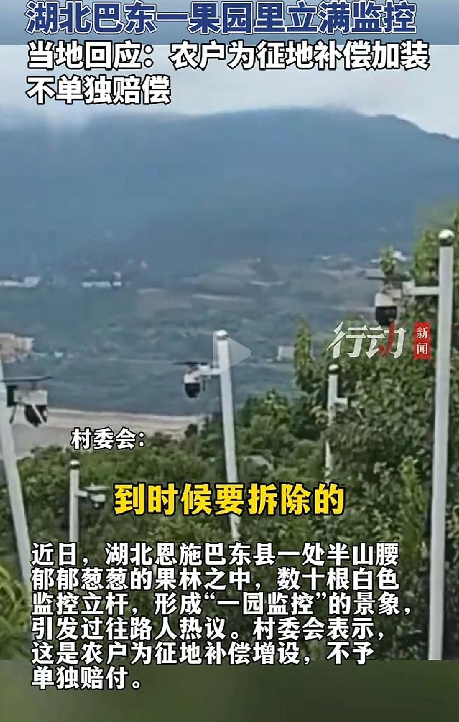 巴东果园装满监控，为征地拆迁补偿？
最多原价赔偿，这能多挣到钱？
密密麻麻，半山