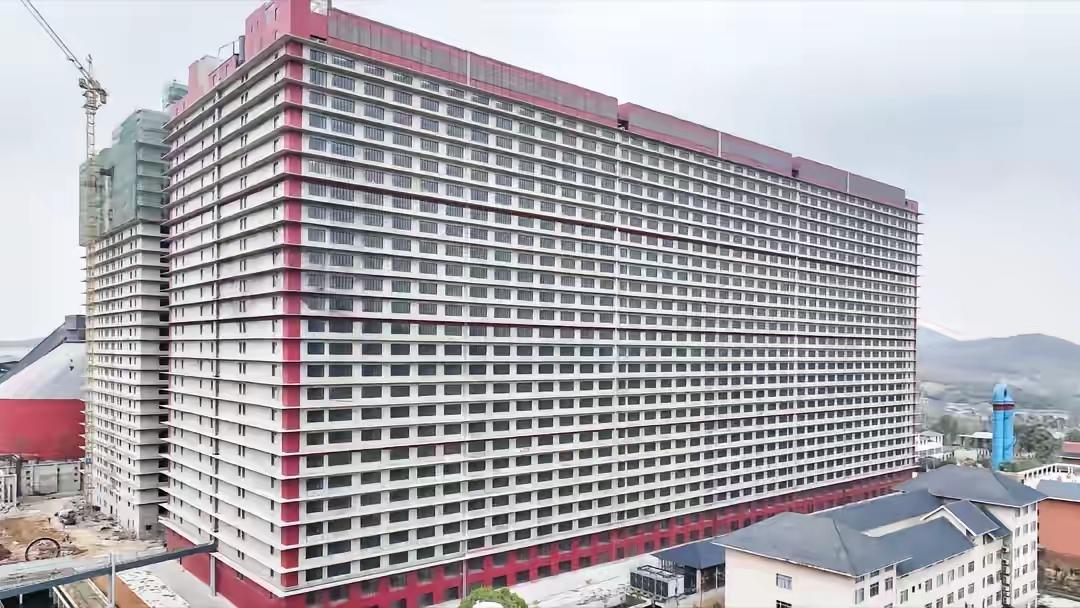 中国猪价持续走低，根本原因就是规模化养殖彻底取代散养，产能过剩压垮价格。
像武汉