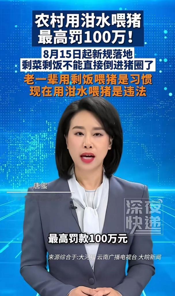 “农村用泔水喂猪，最高罚100万！”8月15日起新规落地，剩菜剩饭不能直接喂猪了