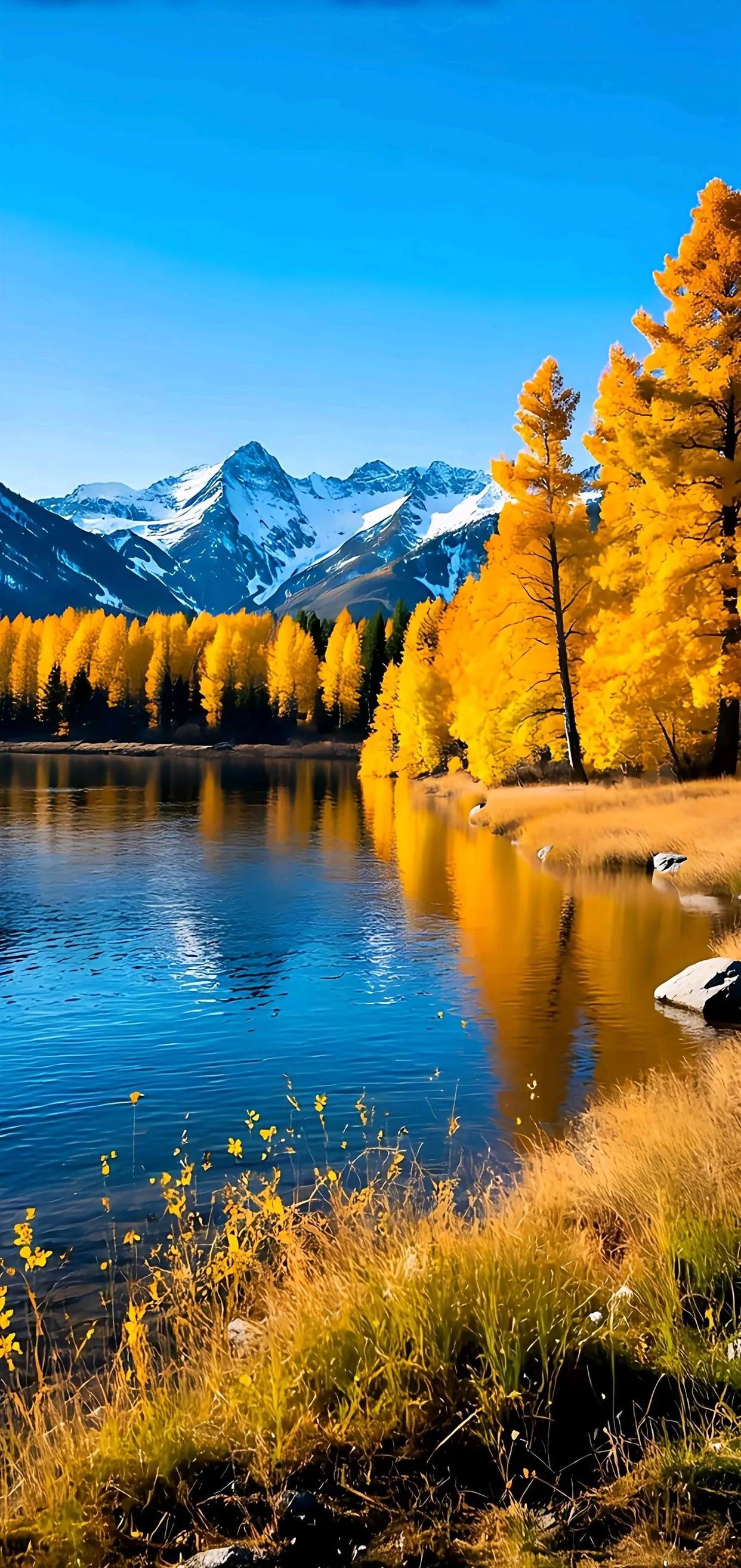 秋天，万物变得更加寂静而深沉。红黄绿叶交织在一起，仿佛在绘制一幅五彩斑斓的画卷。