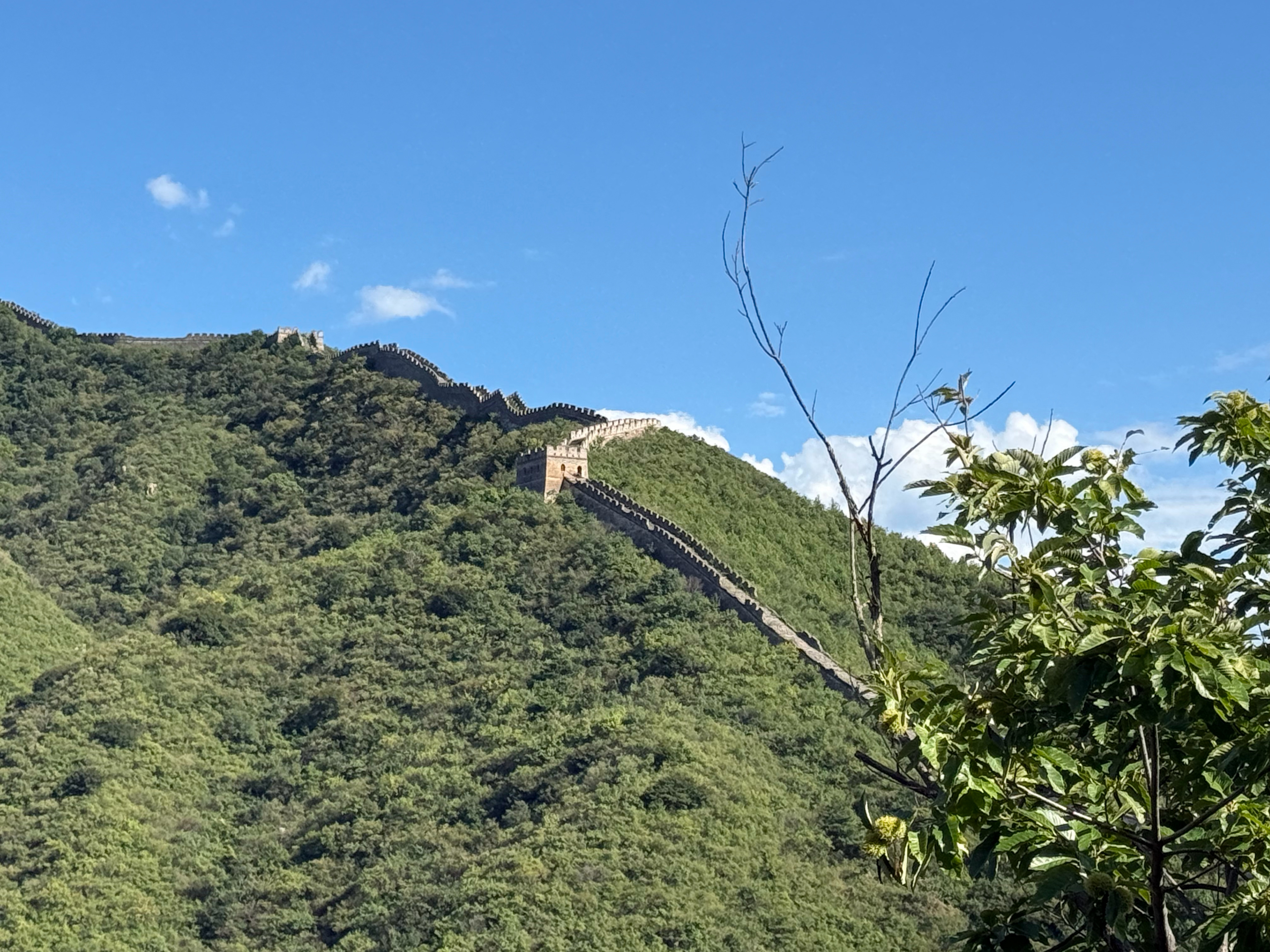 最近很多人争论，硕士到底该不该去产线打螺丝。结合我将近5年的一线经历来看，我想说