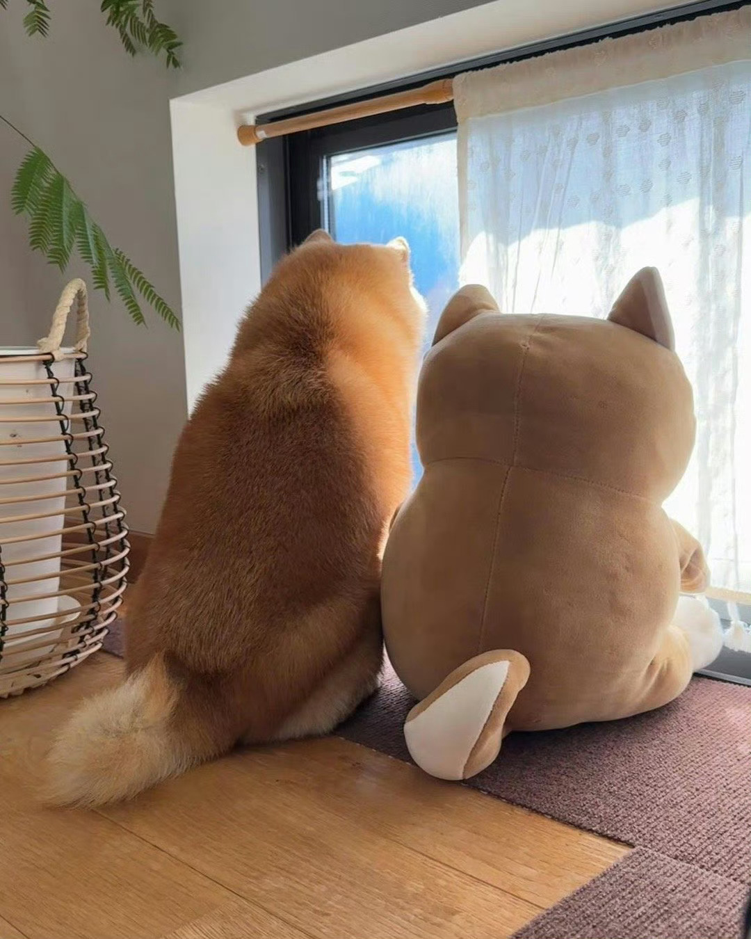 本周结束前，你会收到最期待的好消息！ 