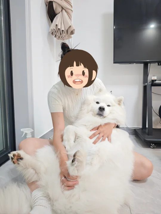 听说被宠大的小狗，会永远觉得自己是个宝宝