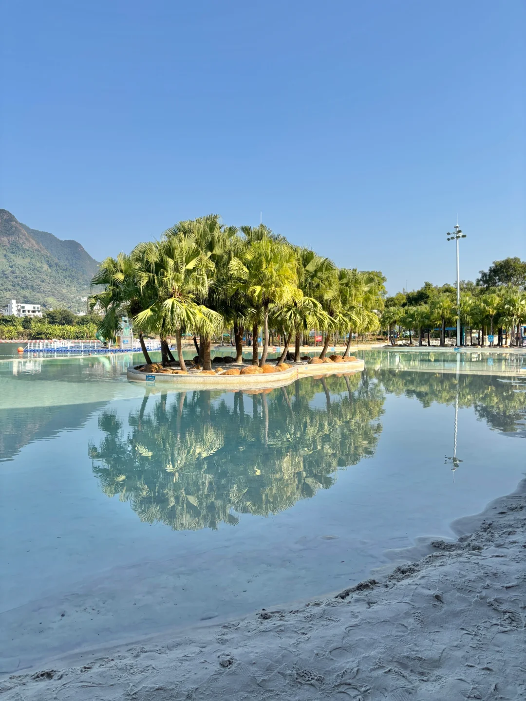 深圳打工人挑战每周末旅行第5️⃣2️⃣站森林海