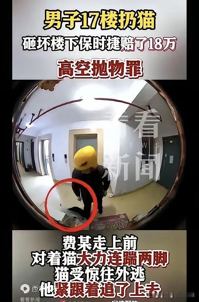 无缘无故伤害小动物，最后遭到了报应，这也是现世现报，小猫咪没招他，没惹他，他却抓