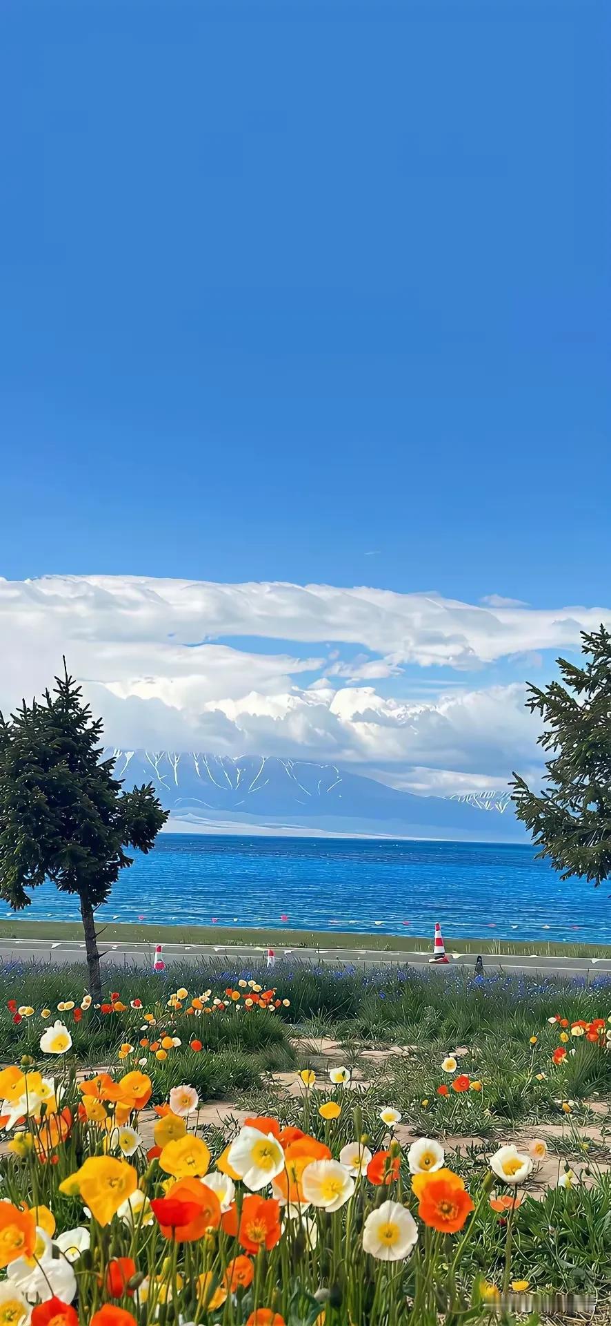 人老了，
尽量不要做的三件事。

第一：尽量少碰染发膏。

第二：尽量别往远处跑