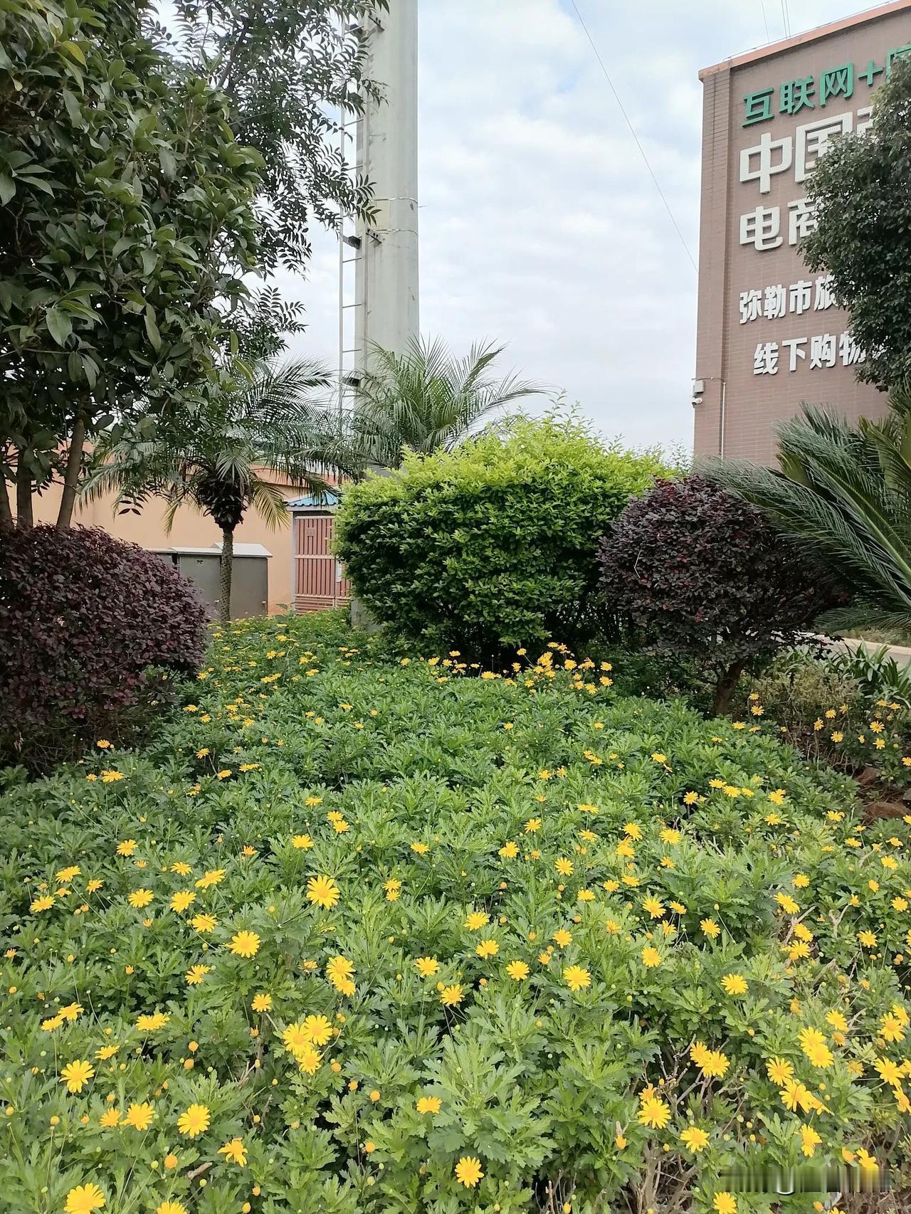 现在要来云南省弥勒市过冬的朋友，需要穿戴什么衣服呢？

       如果是东北