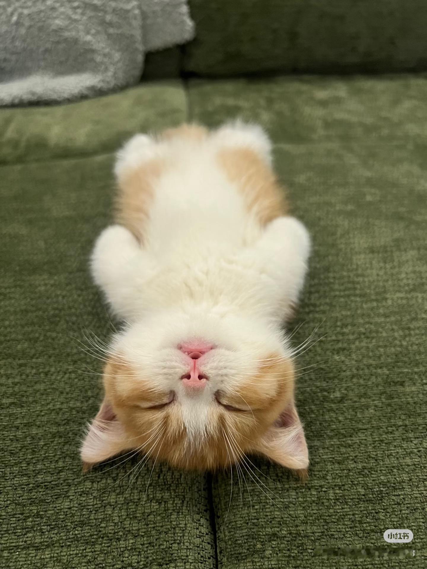大家晚安～～ 