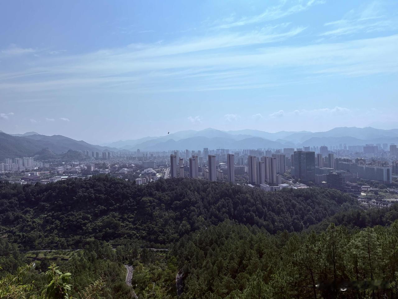 天南地北大拜年