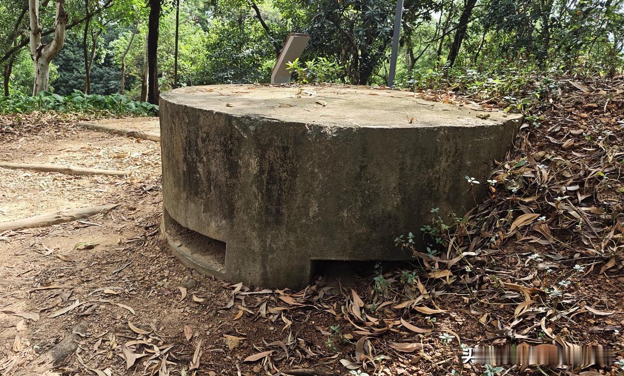 鲲鹏径罗湖红岗公园的东西马岭，山脊线上分布好几处日军碉堡。还有战壕坑道相连，不远