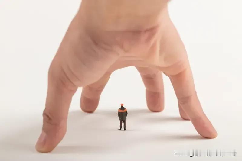 去年在尼泊尔禅修时，我花3000美金买到一个真相：焦虑的人不是想太多，而是喂错了