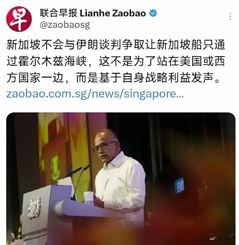 小国硬气需量力而行，盲目逞强绝非明智之举
 
新加坡近期再次明确表态，绝不会为了