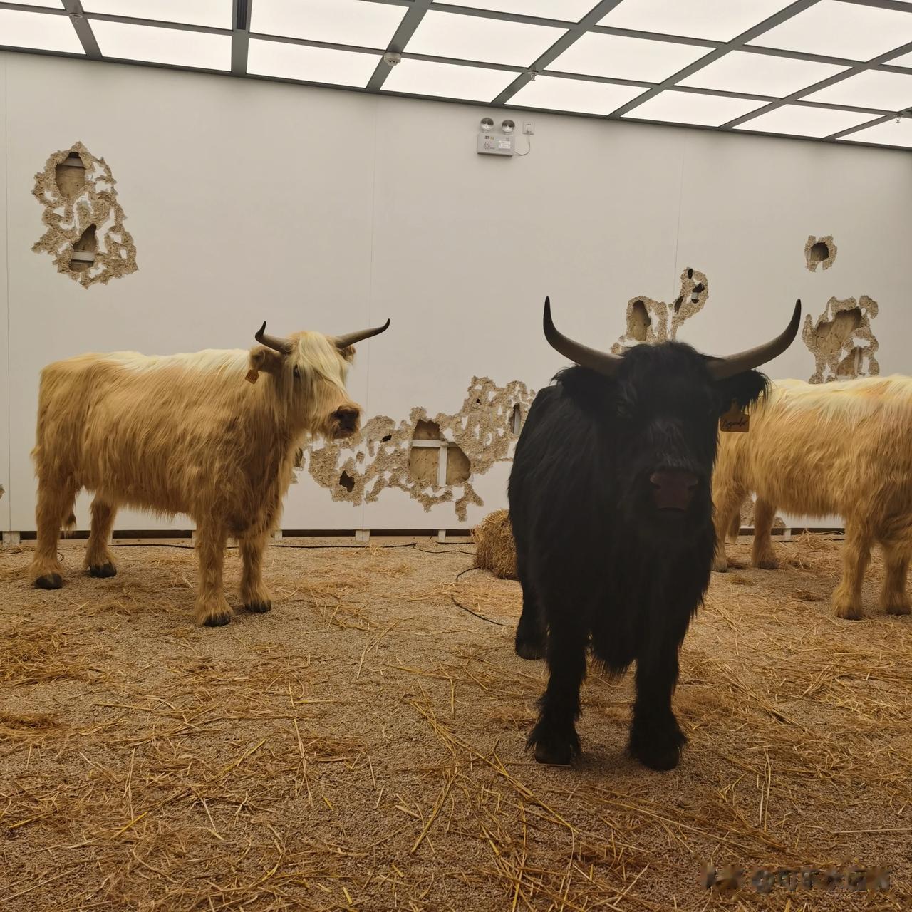 #秋日生活打卡记# 
秋天是夏天努力地想要停止下来的那段时光