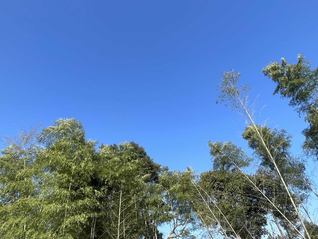 自驾游,最想去的地方是哪里?
一个可以让人忘记烦扰的地方
一个可以让人快乐的地方