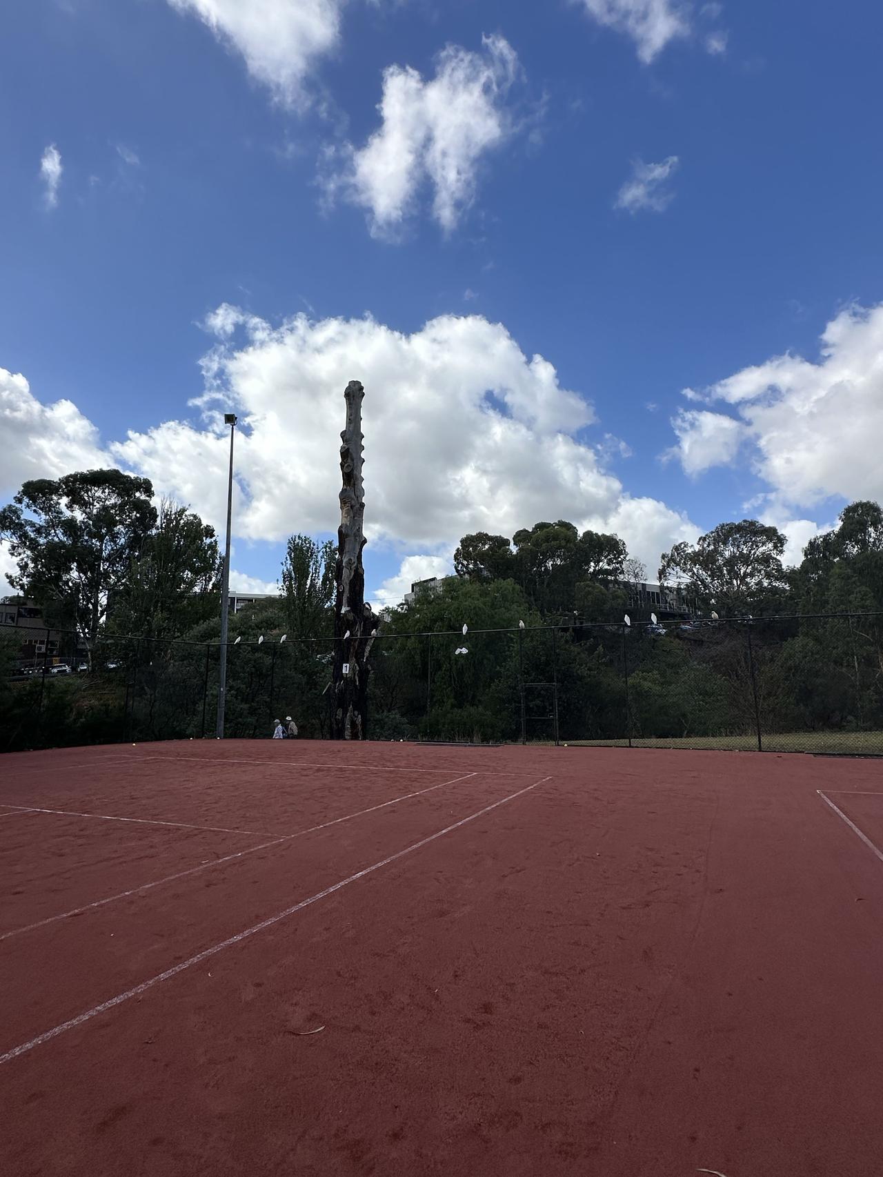 新年第一场球 🎾

有鸟儿围观 打球最好的天气 22度
最好的马年愿望：放自己