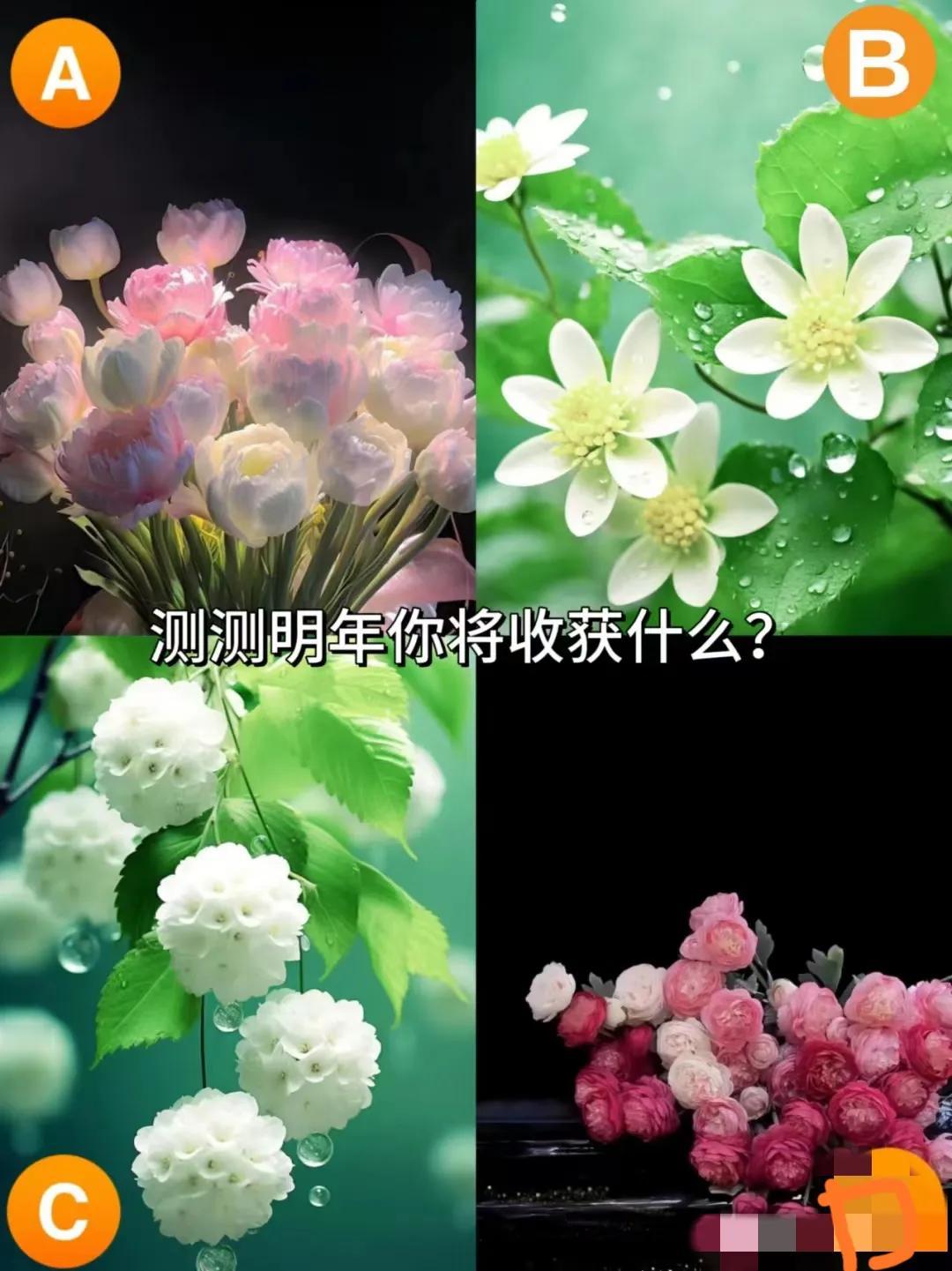 预测明年你将收获什么？
生活中充满了未知与变数，有时候我们会想要探寻未来会为我们