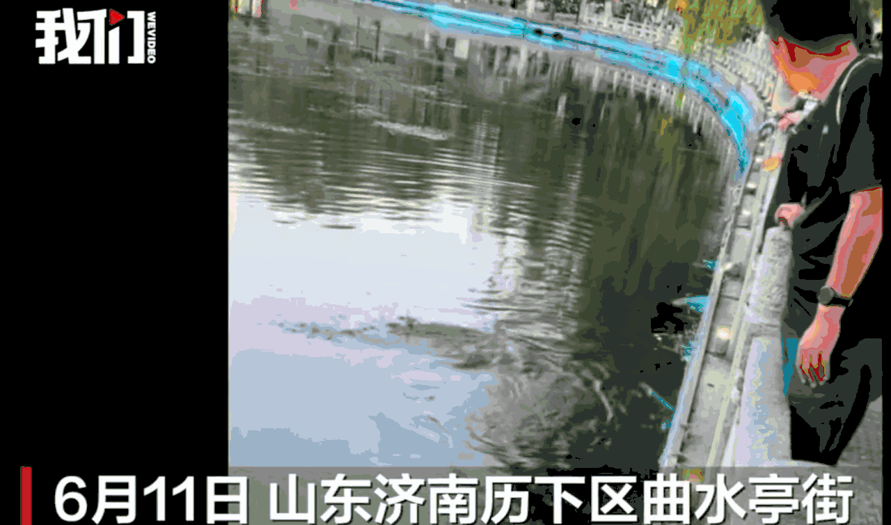 “胆子也太大了！”山东济南曲水亭街，一名男子竟然众目睽睽之下，用上了专业的捕鱼工