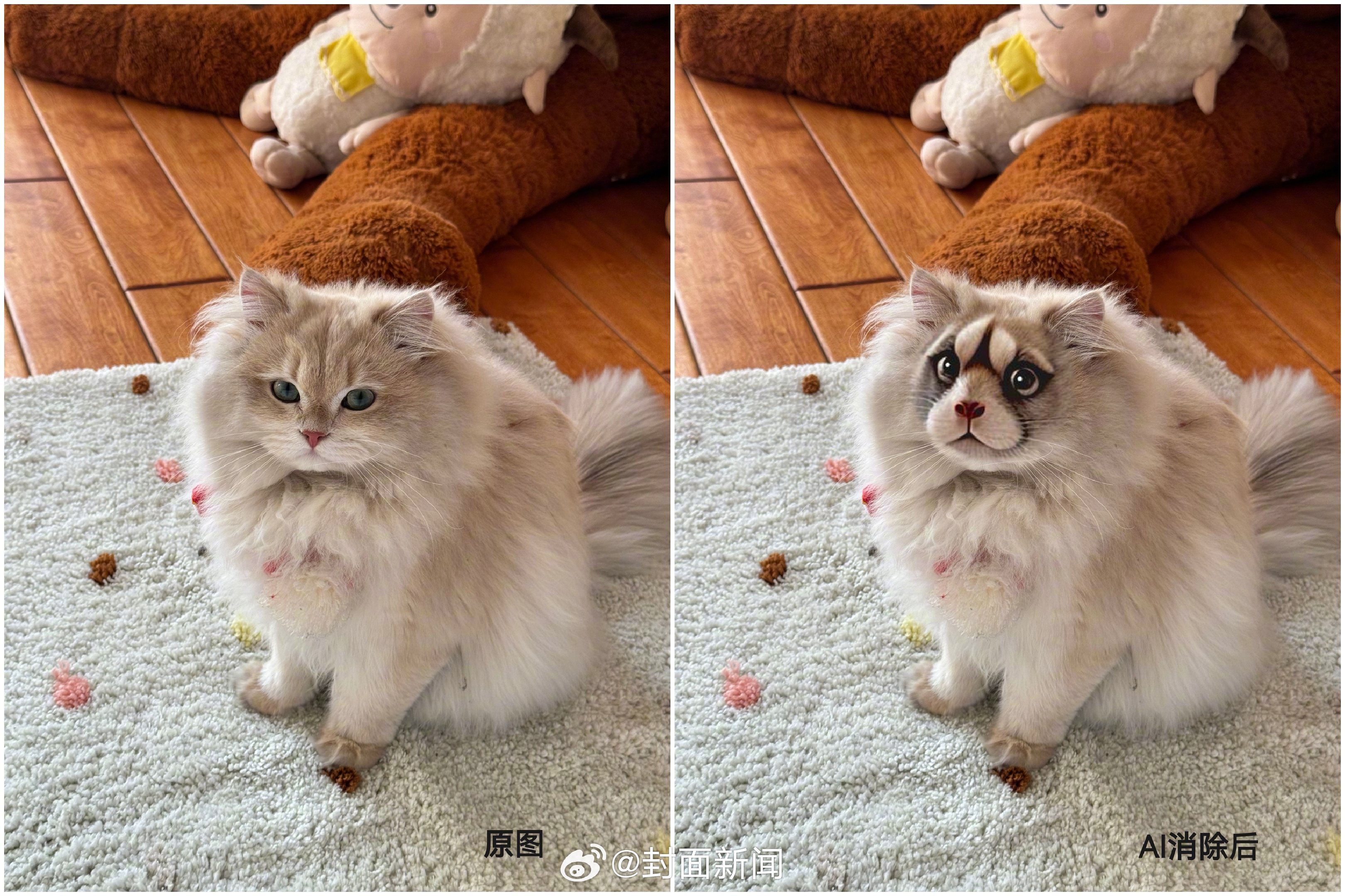【以旧换新、以猫换狗……#手机里的AI消除还能这么玩#】近日，一个女生无意间打开