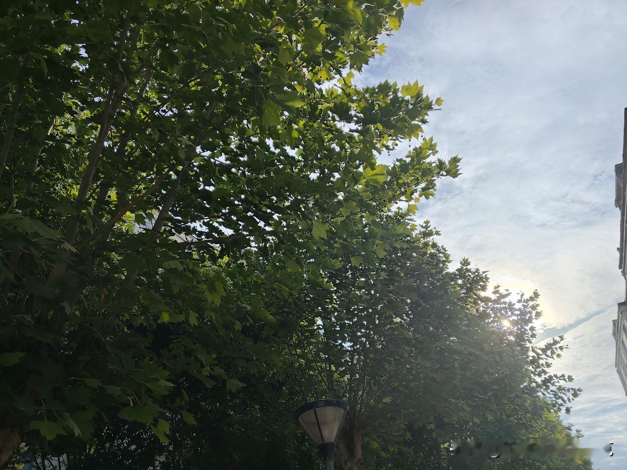 又是崭新的一天
一天好心情