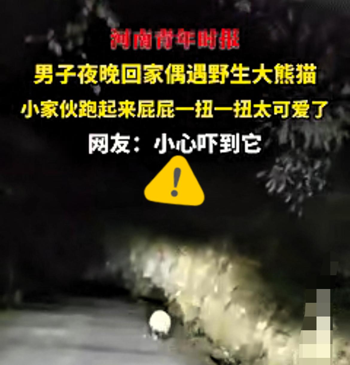 笑不活！近日陕西，男子夜晚回家，走到一段山路时发现前面有个白色的球一直在地上滚，