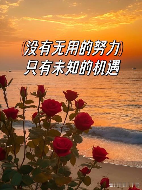 只要方向没错，努力是有的。
       有人总抱怨努力无用，认为自己没背景、没