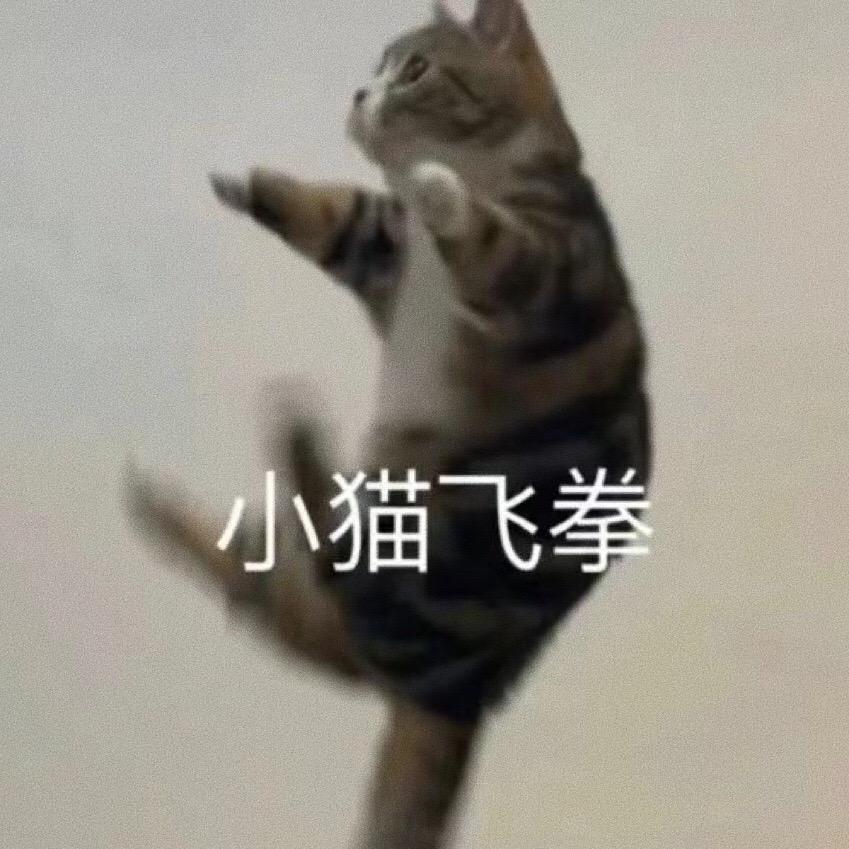 吃我一记：小猫飞拳。表情包 #趣味表情包