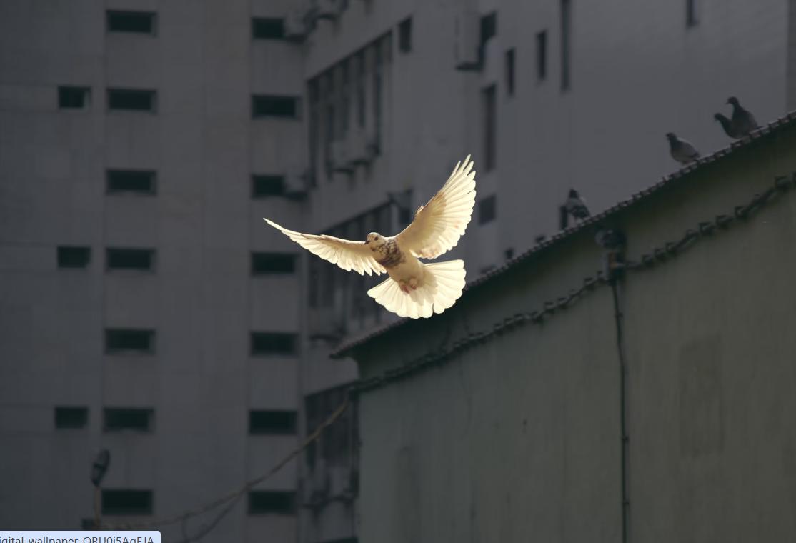 邻居们各个都在扩充军备，增加国防预算，一副剑拔弩张的样子。

对岸不必说了，美国