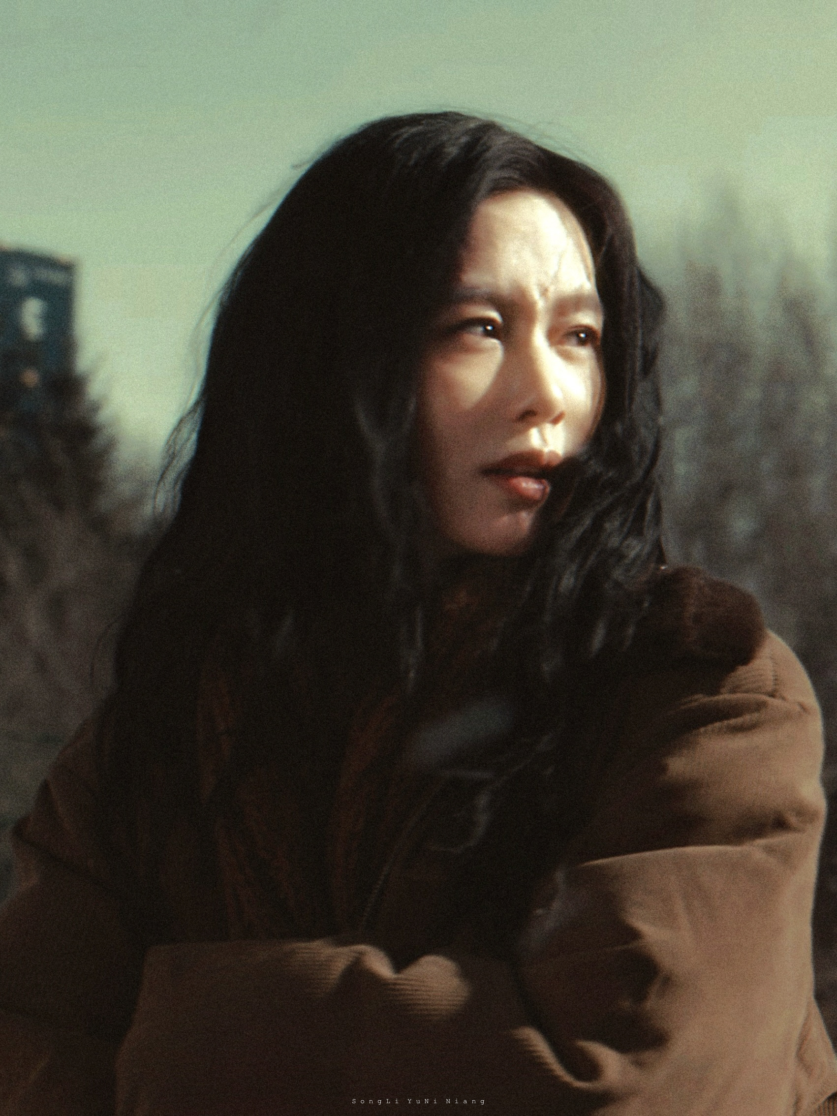 刘诗诗。醉梦 / 沈乐水 