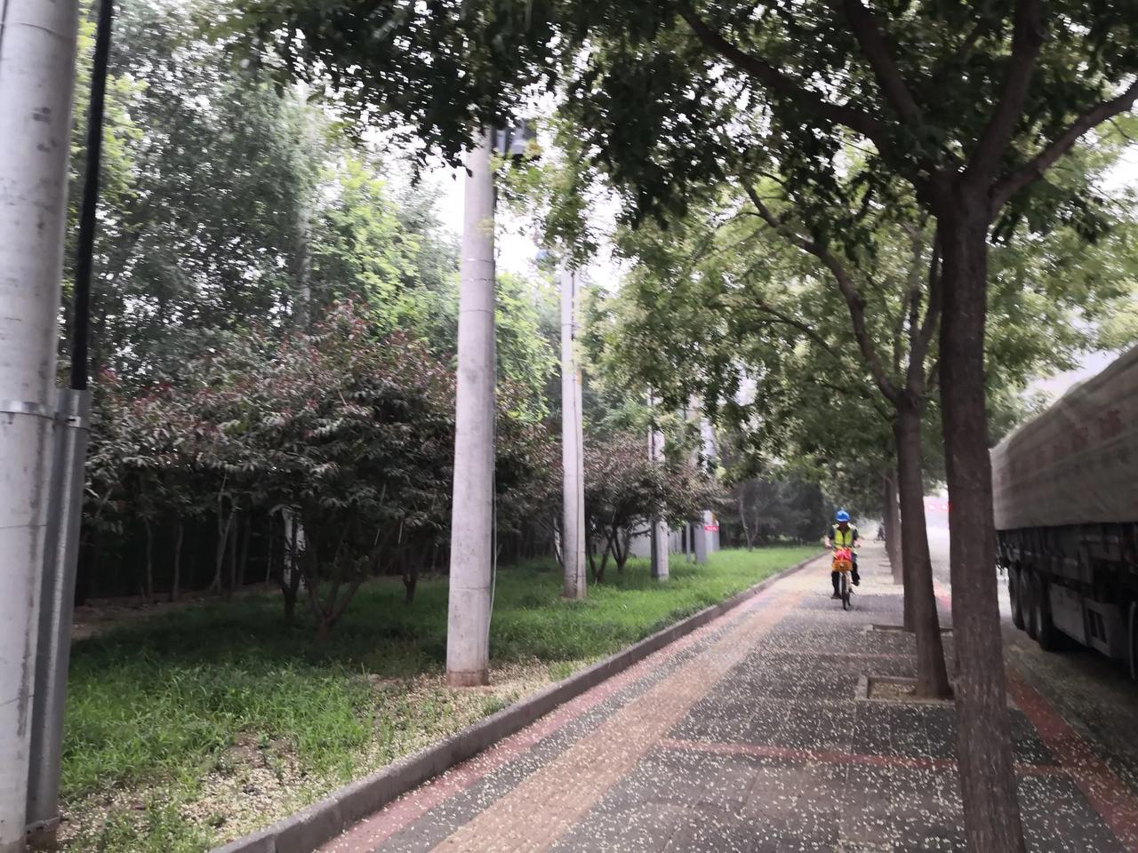北京的雨水是金贵的，北京的年降水量相较南方城市明显少。那天，我刚来北京时就赶上了