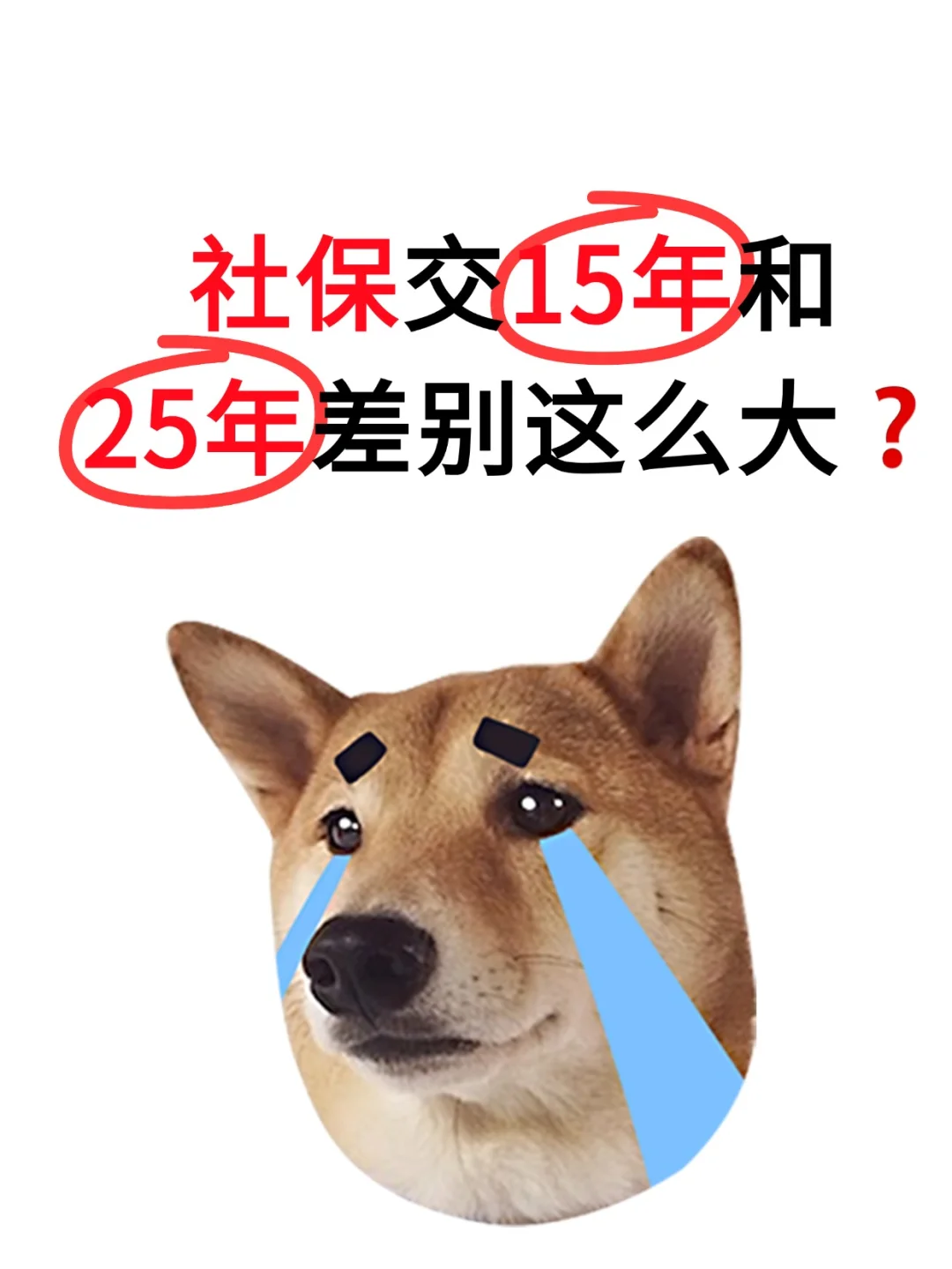 社保交15年和25年差别有多大❓这样交更划算