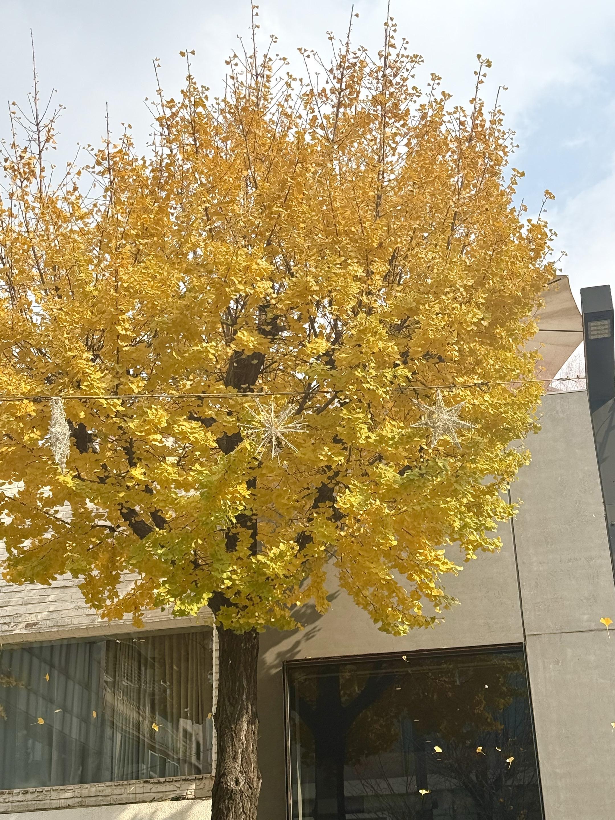 散漫日常比将就更快乐