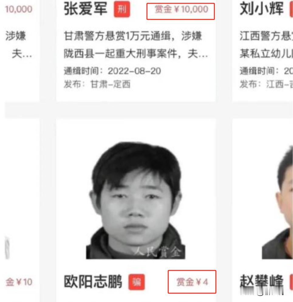 A级通缉犯赏金只有4块，人究竟能没存在感到什么地步？

这“欧阳志鹏”，一个字就