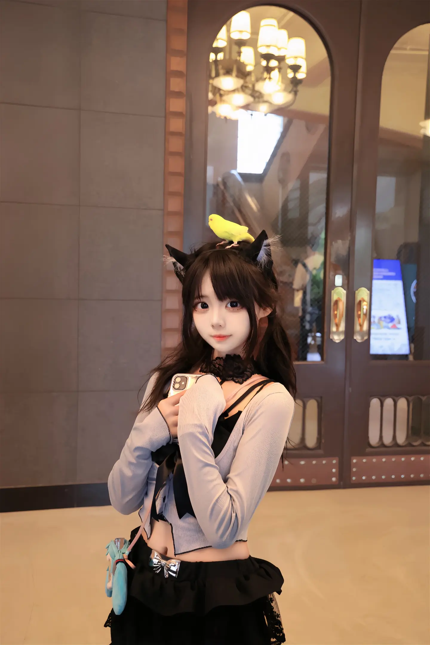 小鸟和“小猫！”