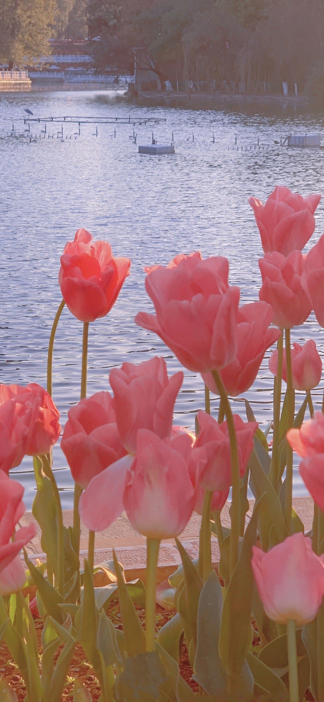 愿时光能缓，愿故人不散，愿你惦念的人能和你道晚安，愿你独闯的日子里不觉得孤单。 