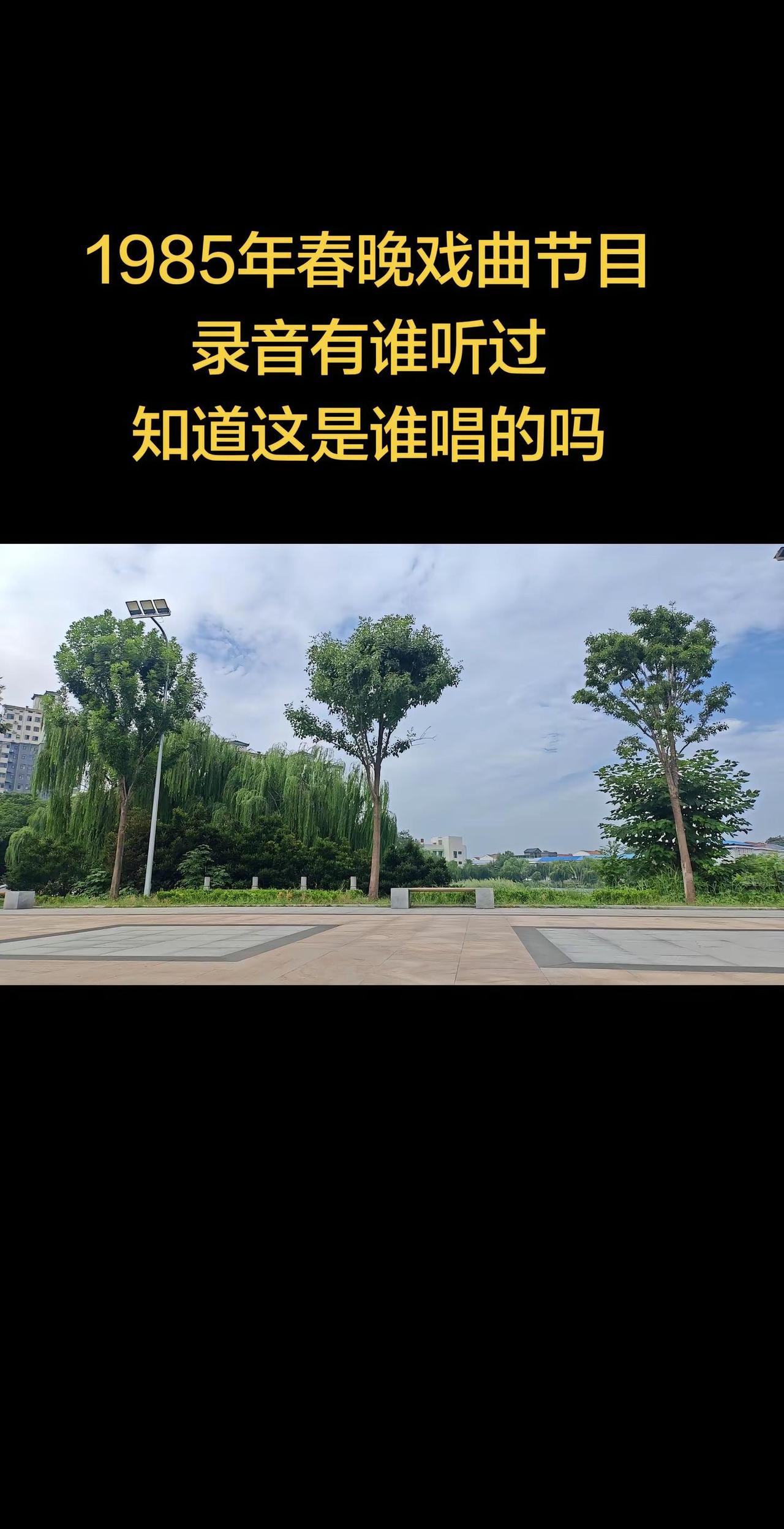 常派弟子春晚演出录音。河南戏曲戏曲传播者戏迷阳光运动每一天 公园随拍健身运动
