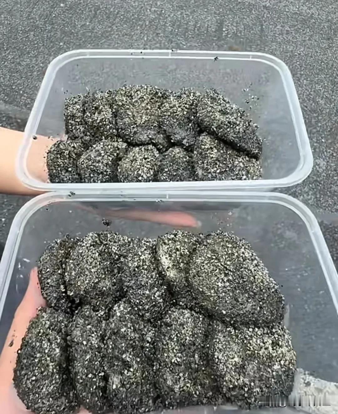 北方人应该不认得这种食物吧？在我们江西叫做麻子，香香糯糯的，外面裹着一层黑芝麻，