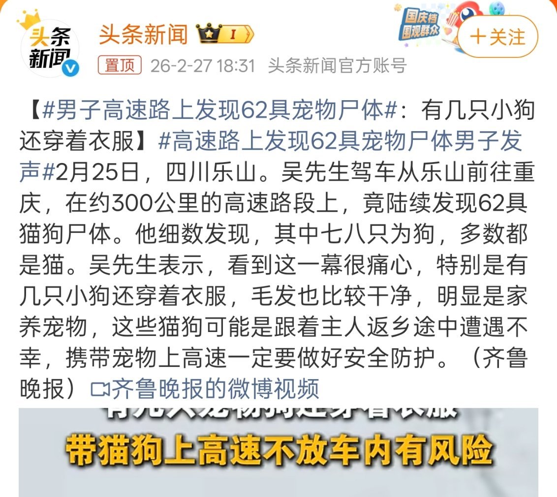 男子高速路上发现62具宠物尸体宠物主人负全责，大家在路上遇到突然窜出来的宠物一定