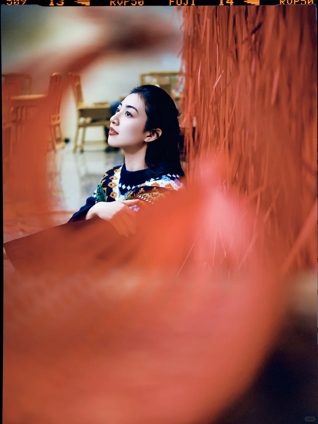 📸尼康z50II+唯卓仕AF 35mm F1.7镜头初体验