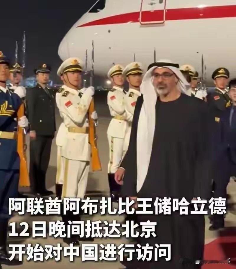 局势彻底反转！阿联酋王储紧急访华求援，巴铁重兵压境，美国霸权彻底失灵
 
中东地