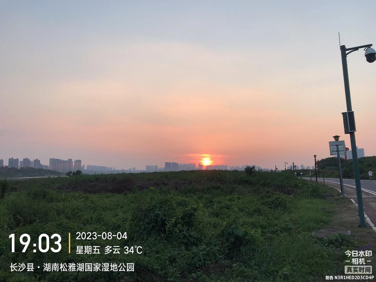 残阳夺目浅，独作彩云忙，一跃入丛林，唯见夜君朗。