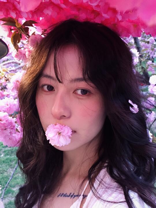 ₊⁺·𖧷 𝖲𝖺𝗄𝗎𝗋𝖺🌸