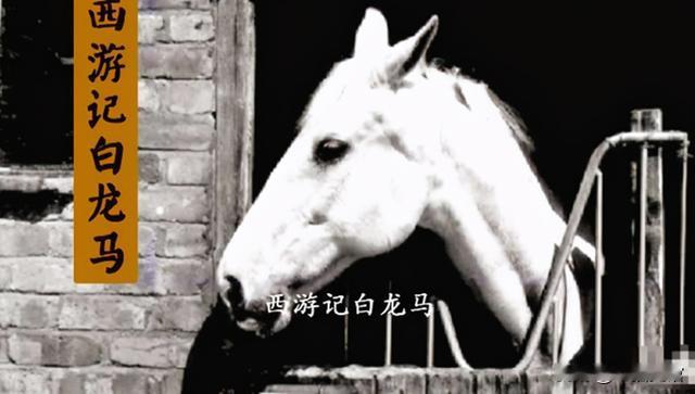 西游记拍摄结束后，导演杨洁找人把白龙马，安置在了无锡的养马场。1995年，杨洁再