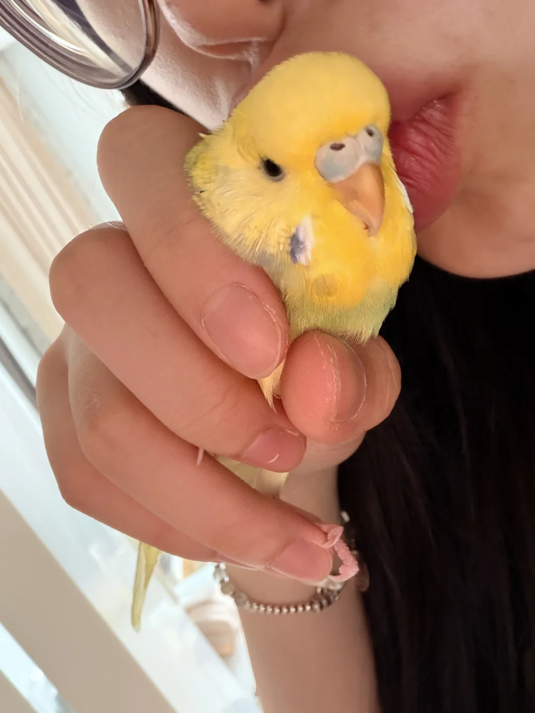 鸡：讨厌没有边界感的人类😒