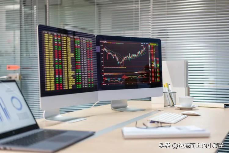 “不要盯着股票”，本质是对抗“短期波动的情绪干扰”，守住“长期判断的理性”——盯