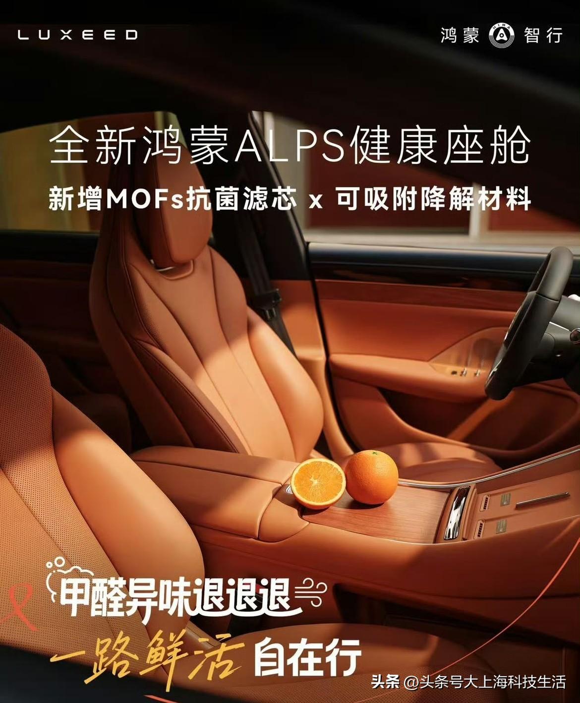 人生路上，每一次跌倒都有温暖的手将我扶起，每一段迷茫都有关切的目光为我点亮方向。