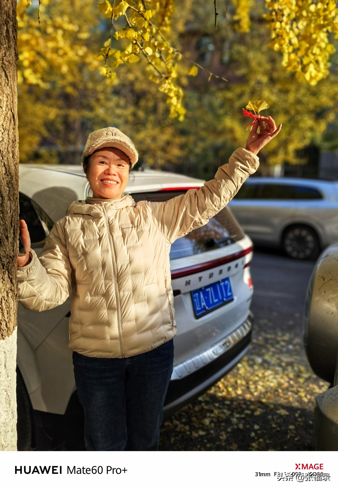 盛京晚秋
和老伴儿一起在南昌中学北侧的银杏路与中学南侧的步行街散步。