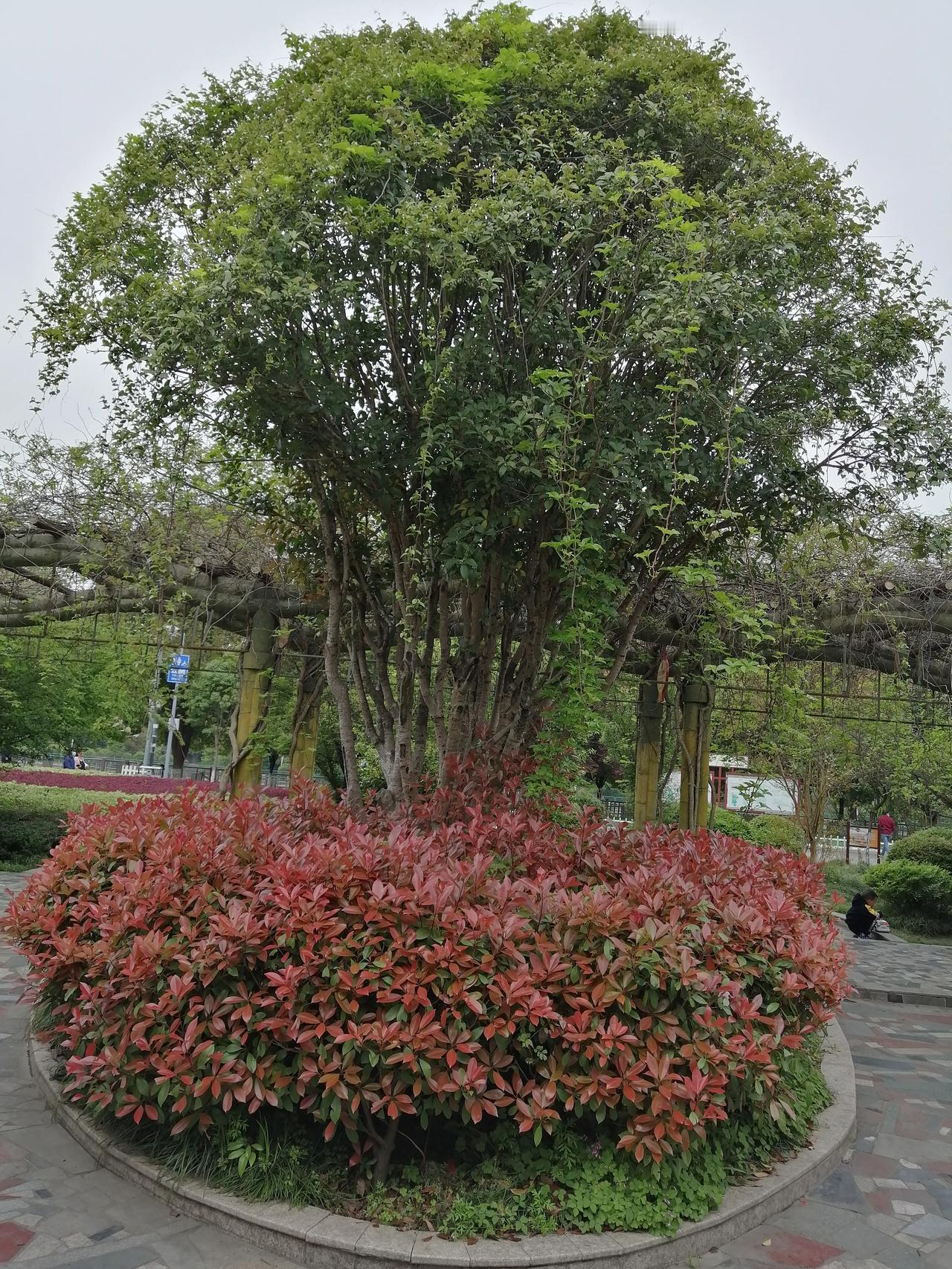 古语云：“百步之内，必有芳草；四季之景，皆有诗意。”生活中并不缺少美，而是缺少能