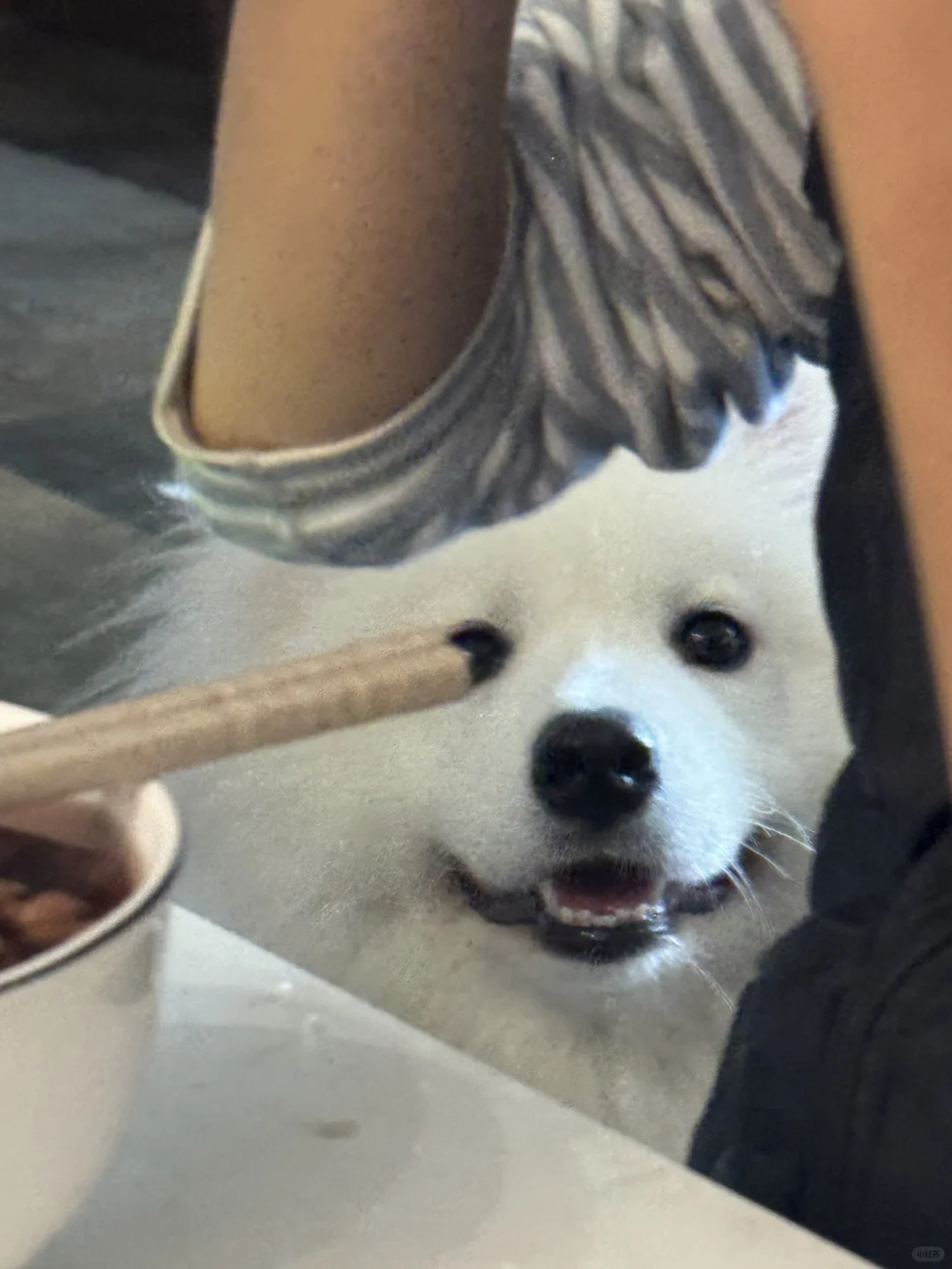 宝宝真的有点馋